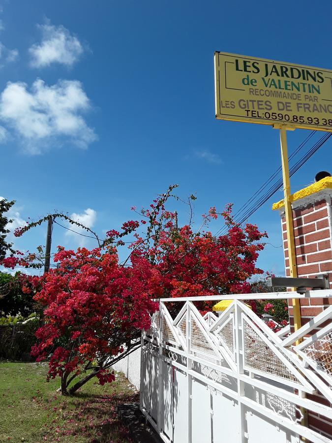 Les Jardins De Valentin Apartment Le Gosier  Bagian luar foto